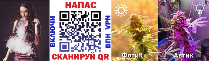 Магазины продажи наркотиков Томмот A-PVP Меф мяу мяу ГАШИШ Марихуана