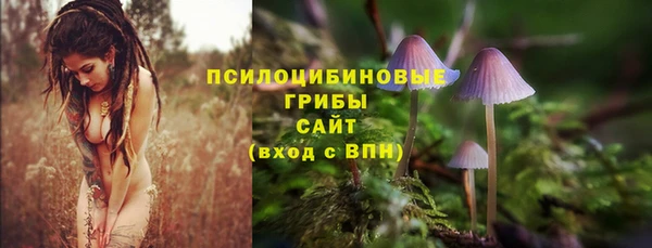 метадон Алексеевка