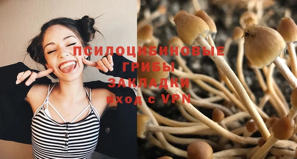 эйфоретик Алзамай