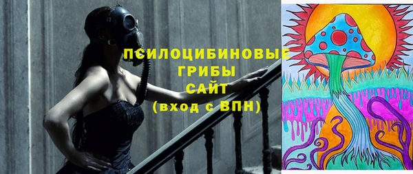 не бодяженный Алексин